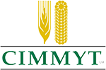 geokrishi partners cimmyt
