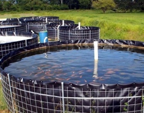 agriculture blog cover image