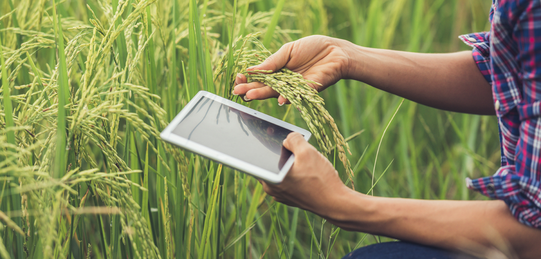 agriculture blog cover image